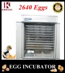 Automatic Egg Incubator