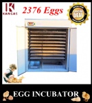 Automatic Egg Incubator