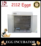 Automatic Egg Incubator