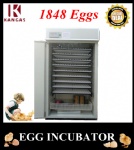 Automatic Egg Incubator