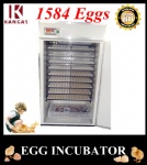 Automatic Egg Incubator