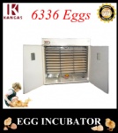 Automatic Egg Incubator