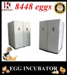 Automatic Egg Incubator