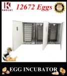 Automatic Egg Incubator