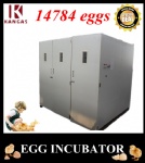 Automatic Egg Incubator