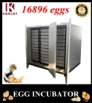 Automatic Egg Incubator