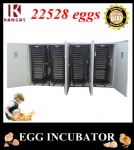 Automatic Egg Incubator